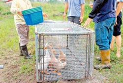 ���{�F�\������͵Ĳ���\���DƬ��Դ���_(t��i)�����Ї�(gu��)�r(sh��)��(b��o)��