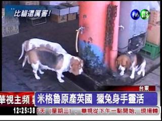 ��׽����! �����"��"5С�r(sh��)