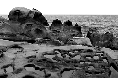 �~�|(zh��)�ղ���Ʒ �X(qi��n)�o Ұ��ӡ��