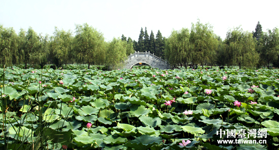 31�գ��ɰ�ý�wǰ����ɽ�����[�f������������ɽҰ���ɻ����硣