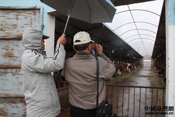 �_���Ѓɰ������ս����f�����ҌW�߅��^ɳ����Bţ����