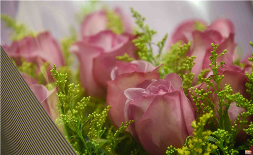 ���˹� �Ϸ��r���Ј�һƬ�t�𣨽M�D��