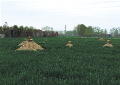 ���켯����r(n��ng)�������������˱���ĉ��^��