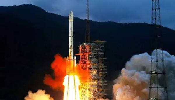 與孤獨斗爭972天 那只頑強的兔子永遠離開了我們