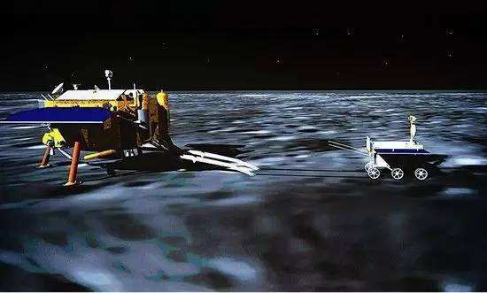 與孤獨斗爭972天 那只頑強的兔子永遠離開了我們