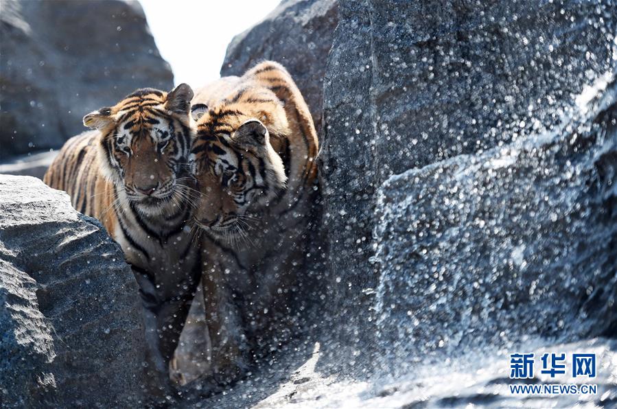 ����y�� �����ϻ���������ˮ��