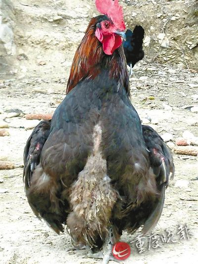 �r���������u����ͦ�،W����·