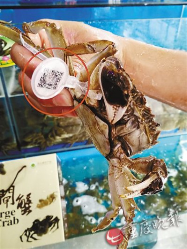 �(y��ng)�κ����lз��δ���_(k��i)���ա�������Ѵ�Ҏ(gu��)ģ����