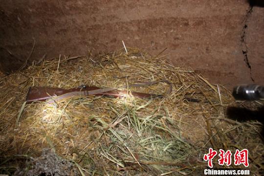 ���������˲�����݃Ȳݶ����ѳ��Ę�֧�� ���񾯷����D