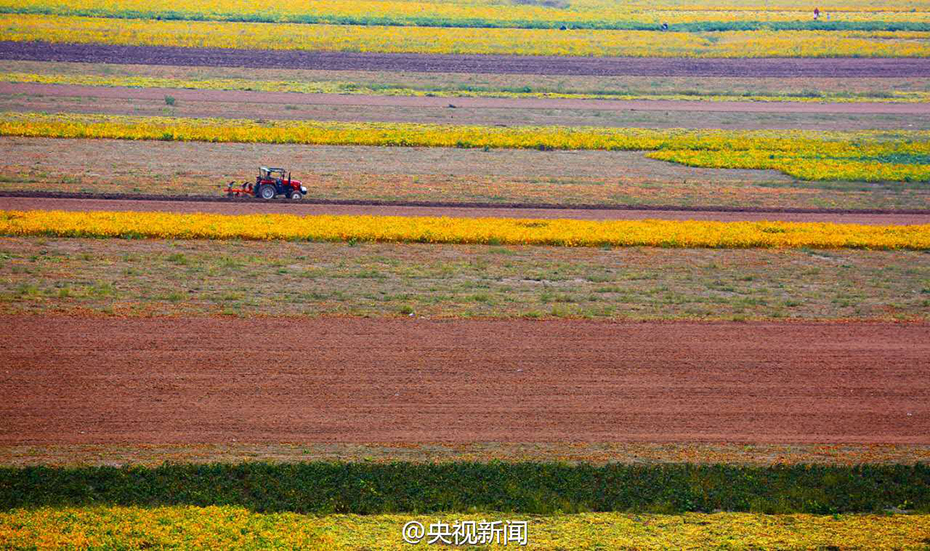 ɽ���S�Ӟ�Ϳ���S�� ���߲ʮ��ȡ��d�Ӱ���