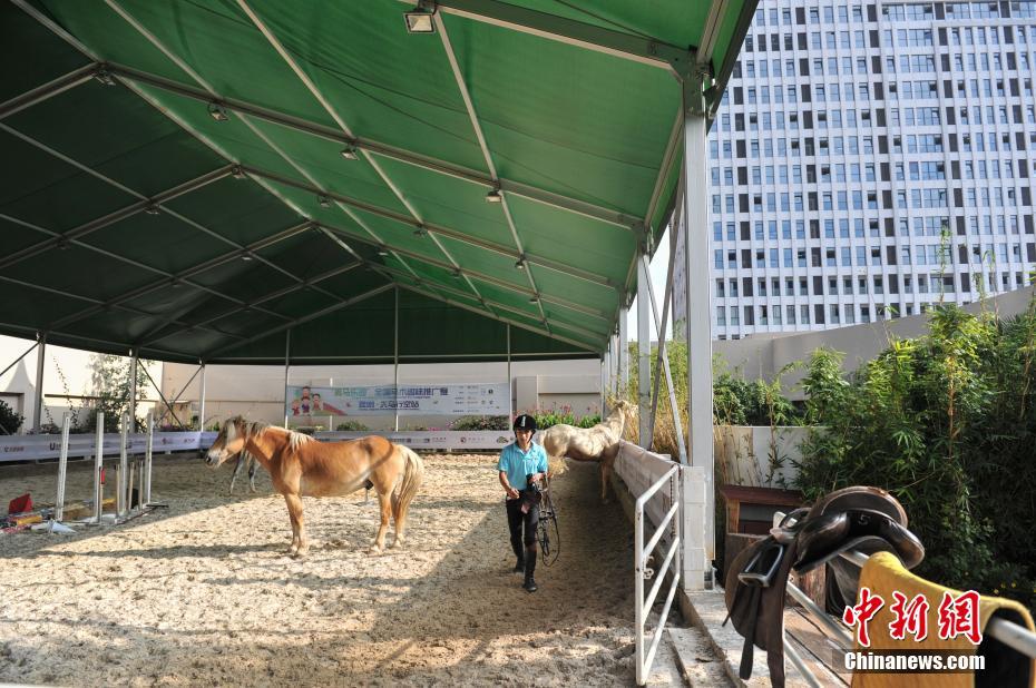 ����һ�̈�픘ǬF���R�g�\�ӈ��� �����w�����T�R