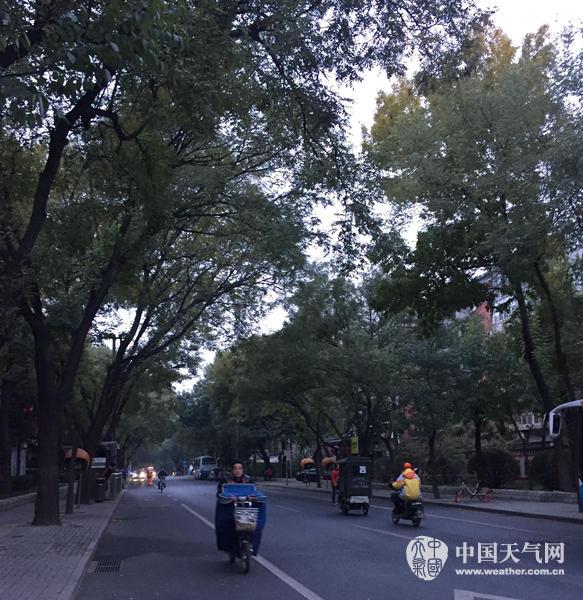 7���糿�����������F����ɢ��������^�������������(y��n)��(sh��)���������� �z��