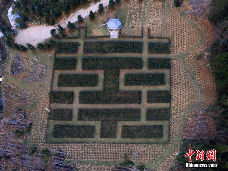 �Ĵ��f(w��n)Դ���֡�ӭ�´�