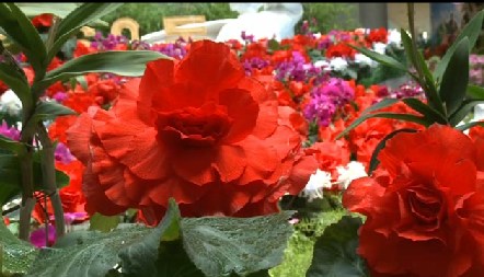 ���r���e�е�20�ý����ջ����o��������Q����