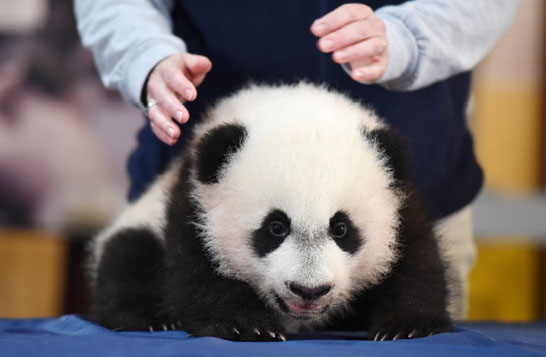 ��؈��ؐؐ�������Ե������˹��@�����L(zh��ng)�(du��)���D��