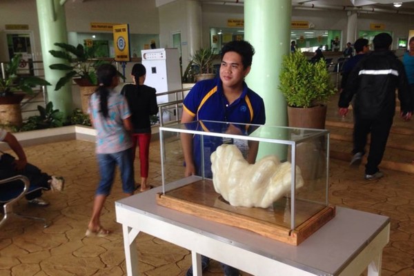 ����ԓ�����ڮ��ر�չ����