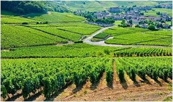 �������޵����ш@�l��͵�`  �r��M��Ѳ߉�ҹ�g���o