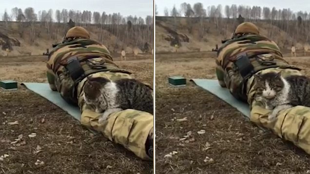 ��؈��F(xi��n)�����Ӗ(x��n)������ �(zh��n)���������l(f��)�hՓ