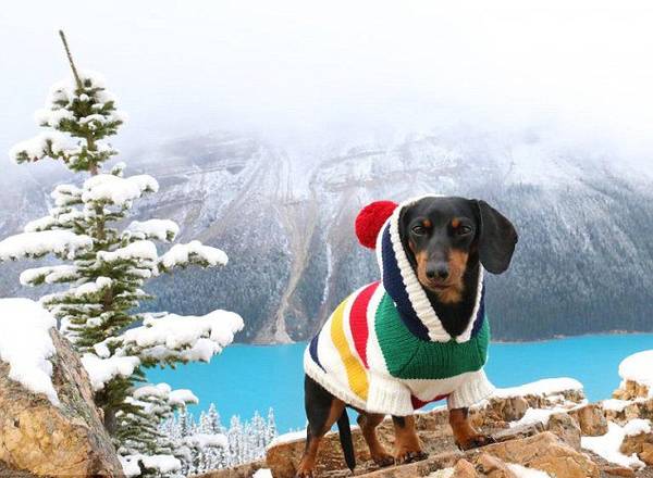 ��Ӣ����ÿ���]�󡷈�������ô�7�q���D�cȮ�������ǂ��W�t�����ڡ�Ę�V�����ѾWվ����140�f���۽z��