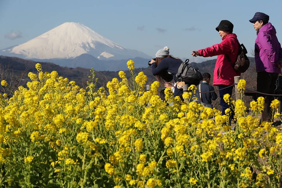 2016�기������ο͔������o��¸� �Ї��ο����