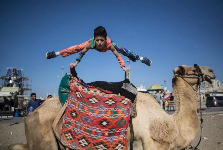 ܛ���l(f��)ָ!12�q����ȫ��365�ȟo(w��)�������D(zhu��n)