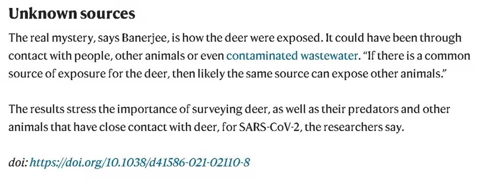 �h�����^��ح��ʽ�����β�����֮����ƴ�����w��������ʲô