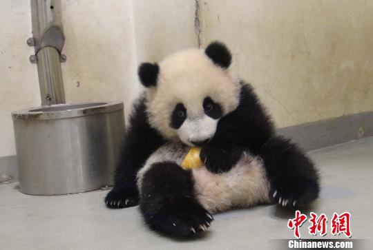 ���A�С��_�ŵ�����@���l(f��)������S�ա����D��