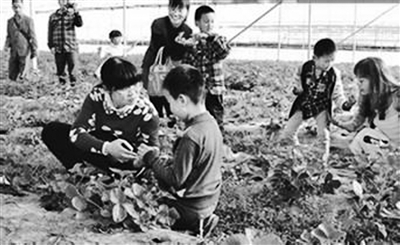 臺灣媳婦回娘家 反哺柘榮搞農業(圖) 臺灣媳婦回娘家 反哺柘榮搞農業(圖)