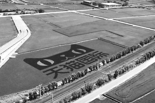 “稻田種天貓”令臺灣心態(tài)復(fù)雜業(yè)者駁“陸資入侵”