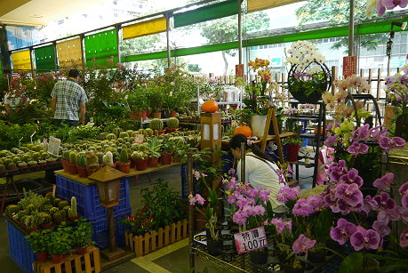 ����(gu��)���ջ���