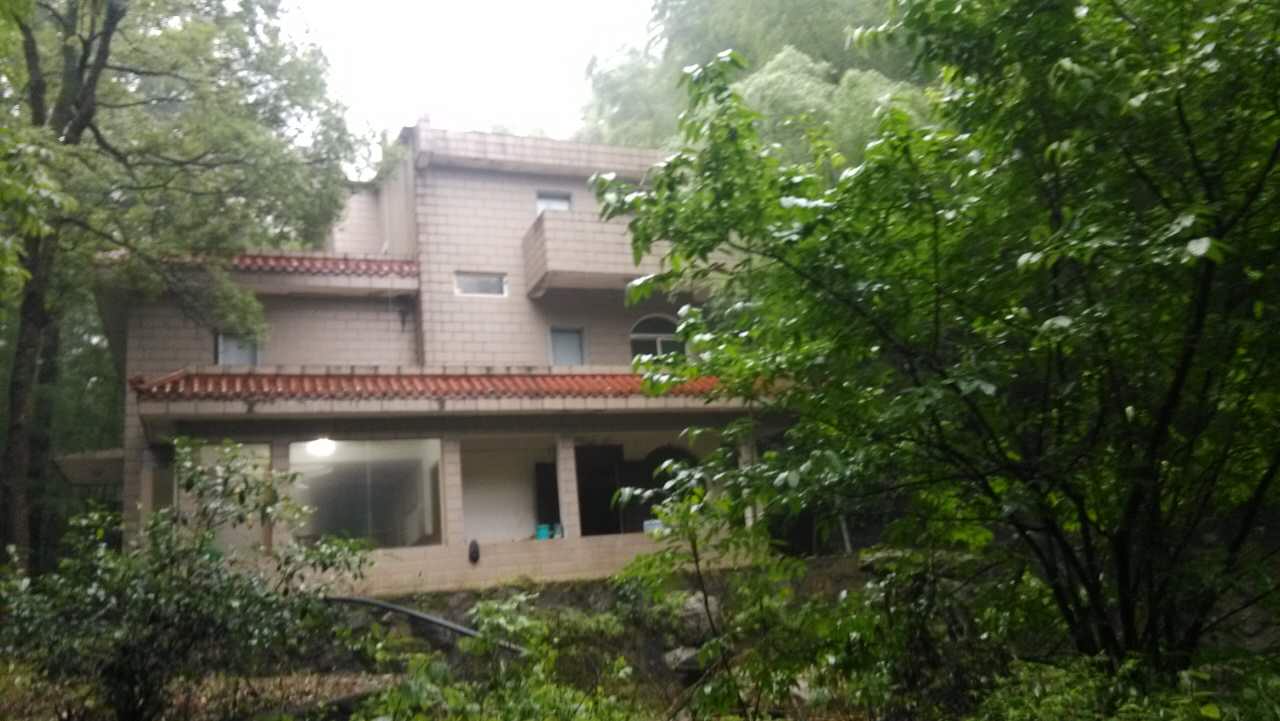 1994�꣬�_(t��i)�������x�ď]�_(t��i)���خa(ch��n)��˾ُ�þŽ��Џ]���e��13̖(h��o)���a(ch��n)