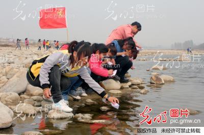 河南南召:學生綠色環保祭英烈